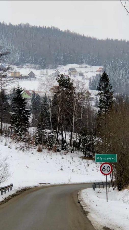 Malinowy Domek Mlynczyska Экстерьер фото